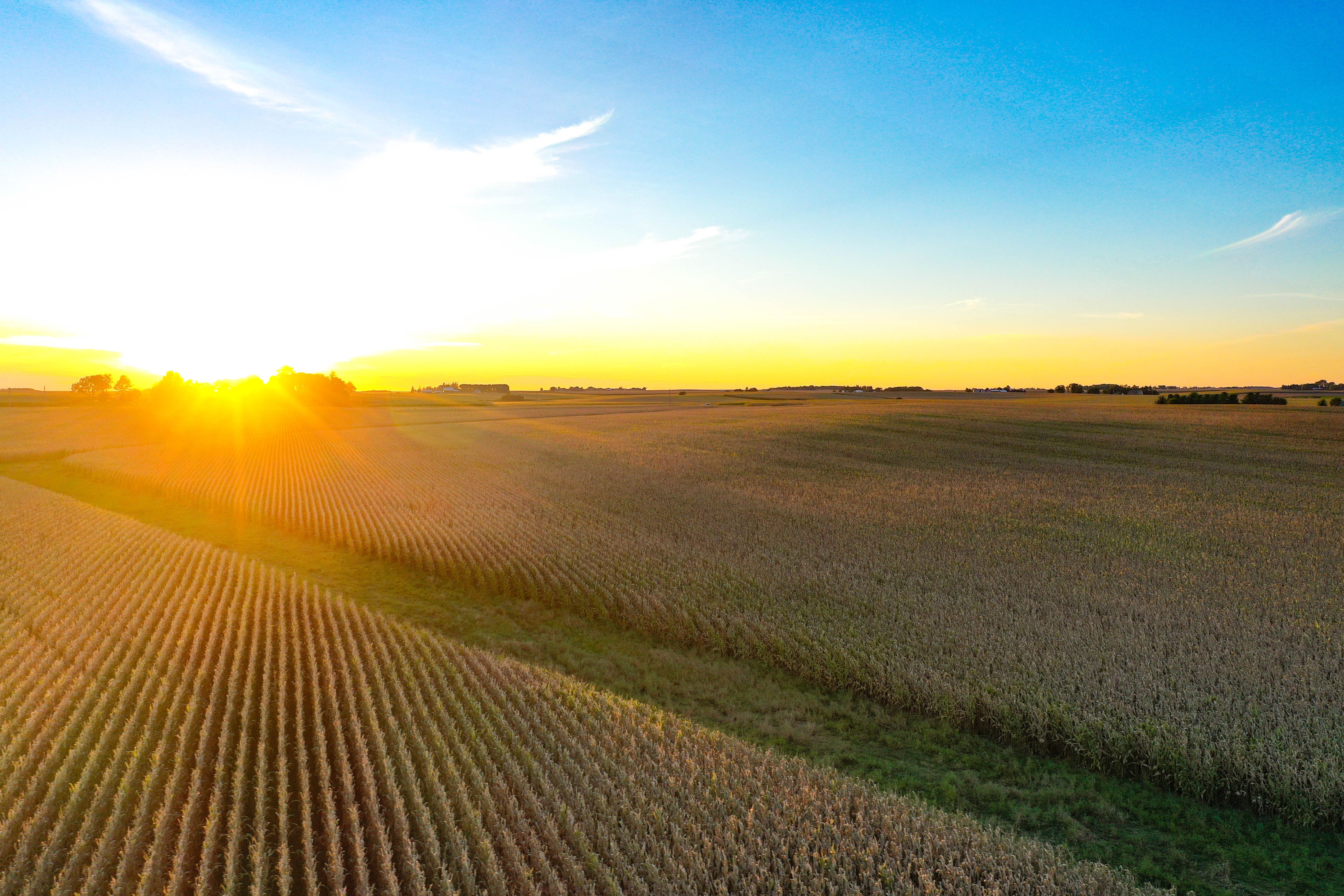 Listing Photo: 28-Butler County Iowa Land For Sale